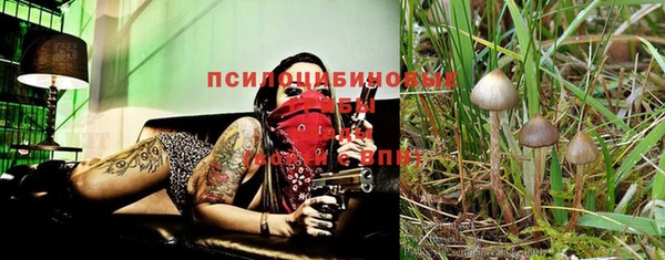 прущая мука Алексин