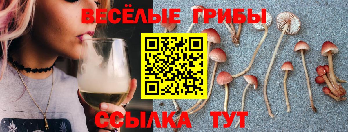 Псилоцибиновые грибы мицелий  Вход с VPN  наркошоп  Нефтекумск 