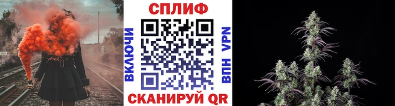 сайты даркнета официальный сайт  Нефтекумск  Канабис сатива 
